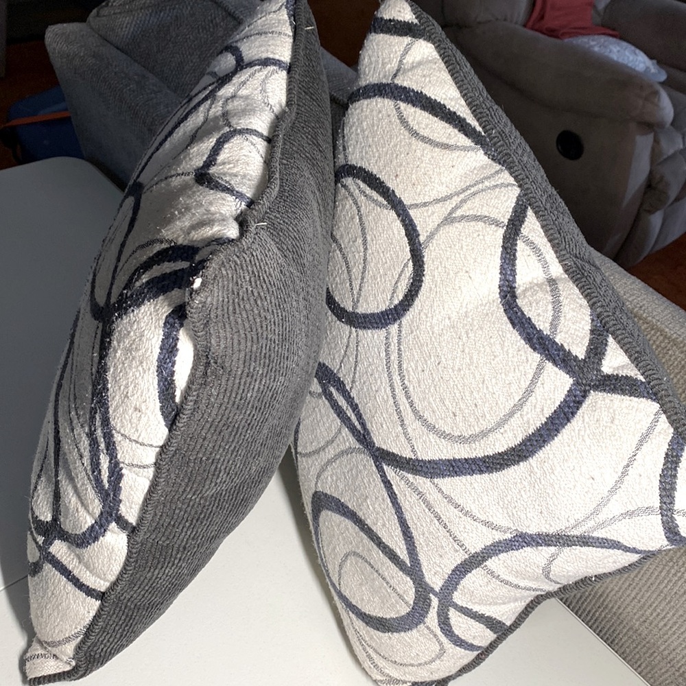 2 Throw Pillows